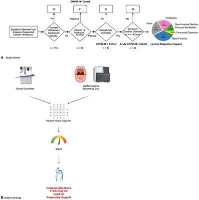 Oropharyngeal microbiome profiled at admission is predictive of the need for respiratory support among COVID-19 patients